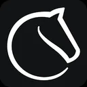 Ícone do Lichess